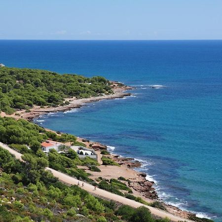 La Casa Del Pompon Lägenhet Benicàssim Exteriör bild